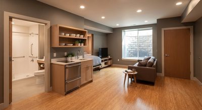 Turning a Hyde Park Basement Into a Full Apartment for an Aging Parent